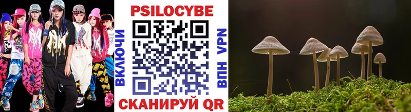 Псилоцибиновые грибы Cubensis  omg сайт  Нюрба  купить наркотик 